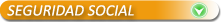 seguridad-social